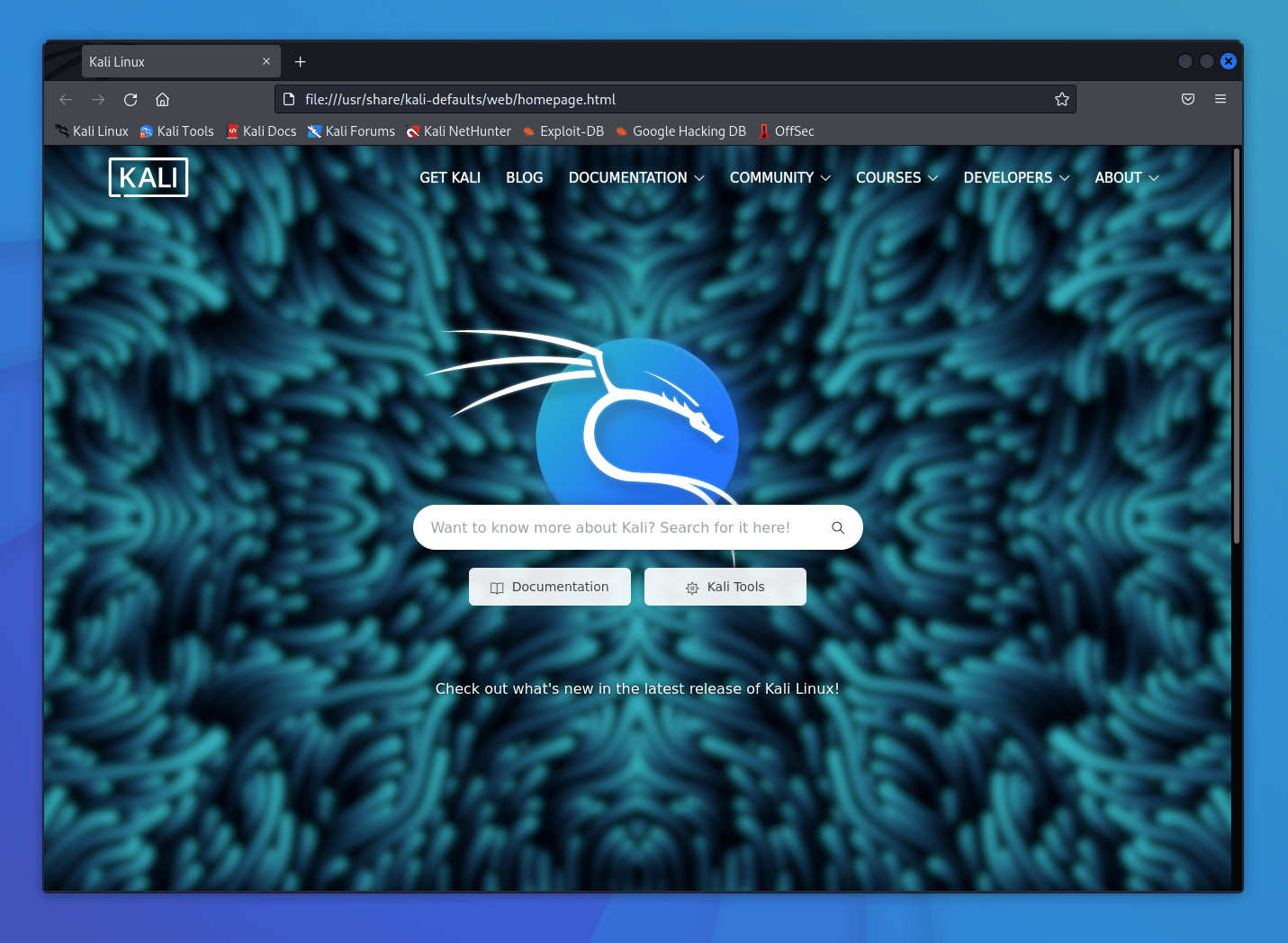  Kali Linux