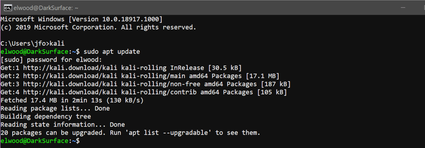 wsl2 kali wsl2 kali