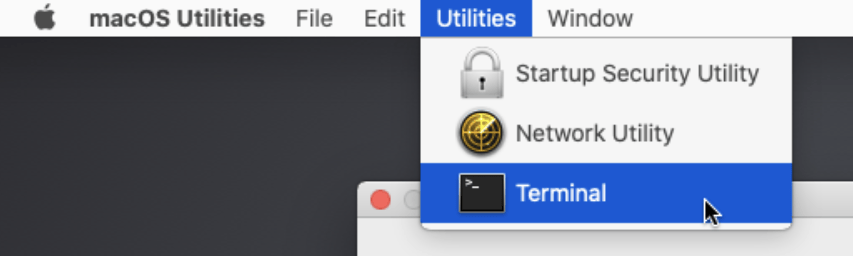 macOS terminal