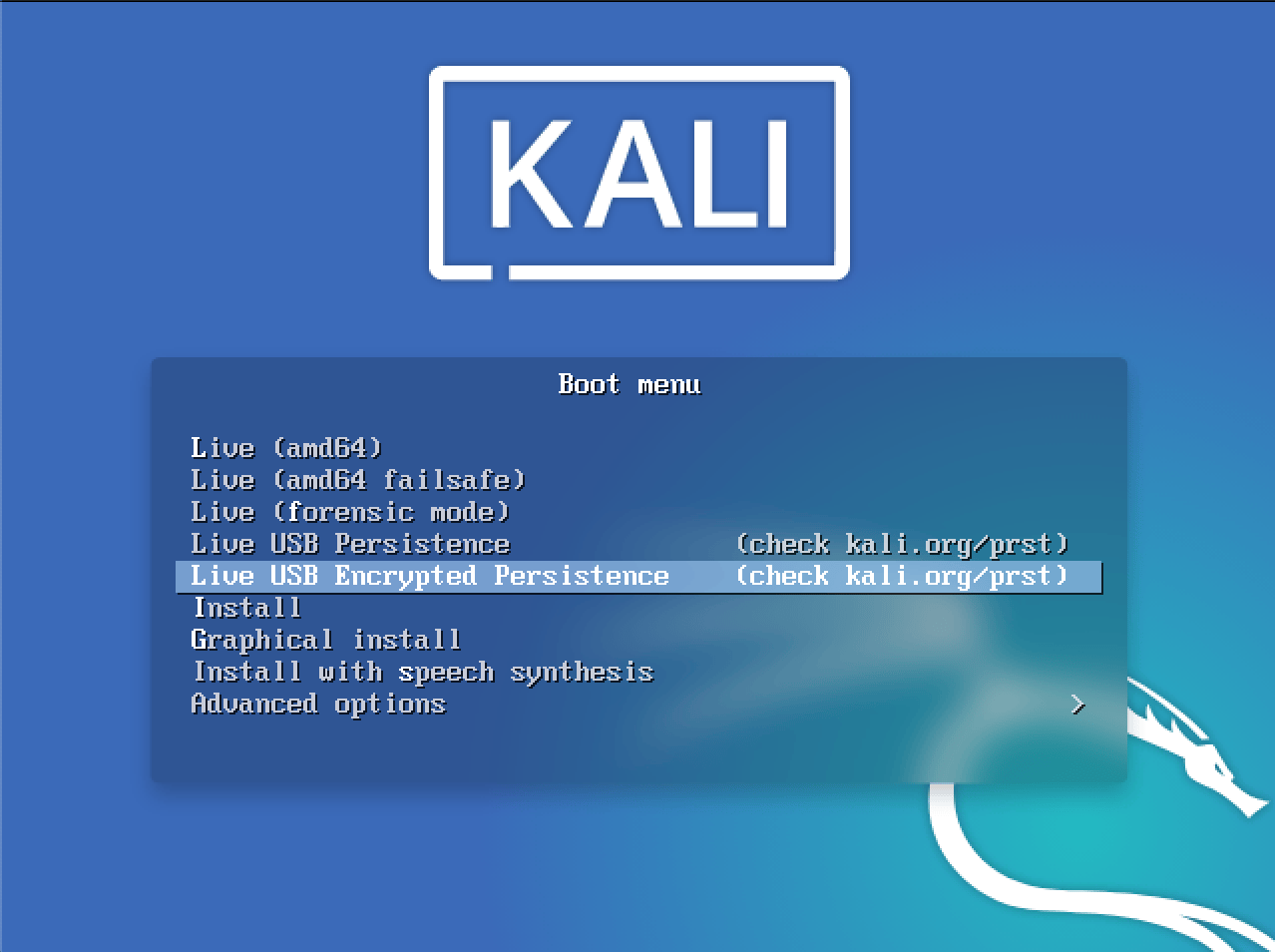 forvirring ubehageligt Afgang Adding Persistence to a Kali Linux Live USB Drive | Kali Linux Documentation